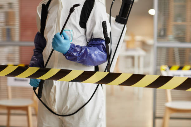Professional Blood Cleanup technician working in Lake Worth Beach, FL